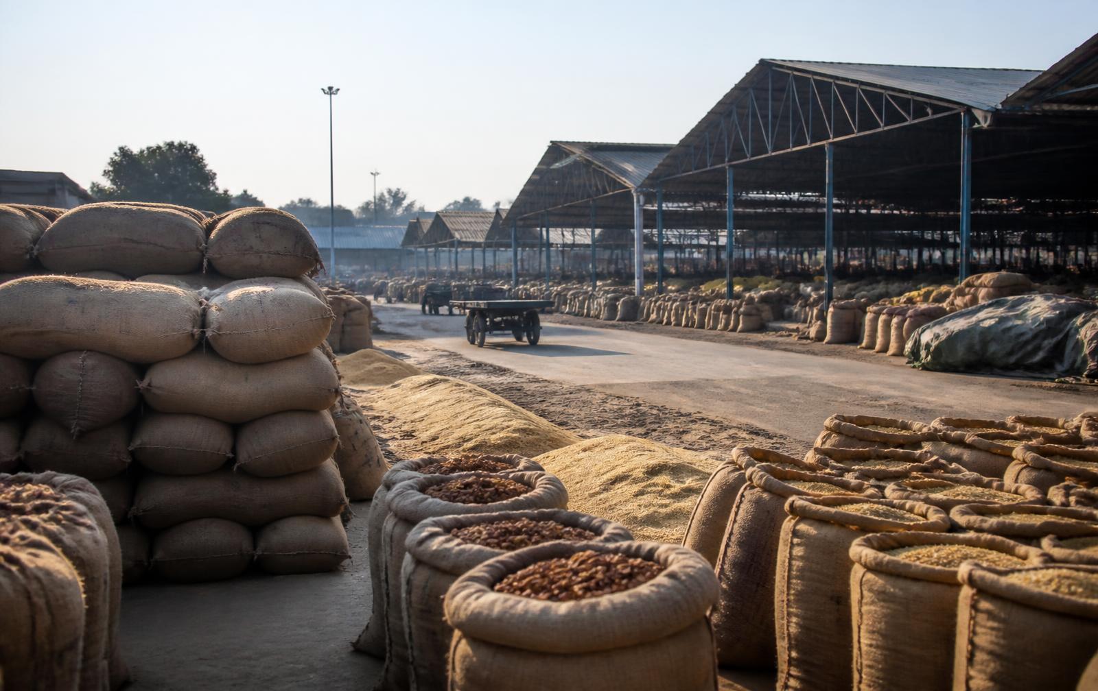 Sacks of agricultural commodities stacked in a mandi yard